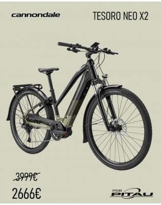 Cannondale Tesoro Neo X2...